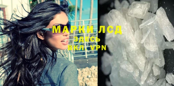 спиды Аркадак