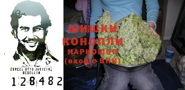 PSILOCYBIN Армянск