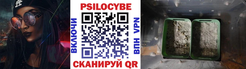 Псилоцибиновые грибы Psilocybine cubensis Спас-Деменск